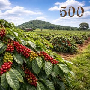 COFFEEFARM500 - Kód střediska: TZxxCFVW25